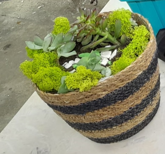 Yarışma Fotoğrafı