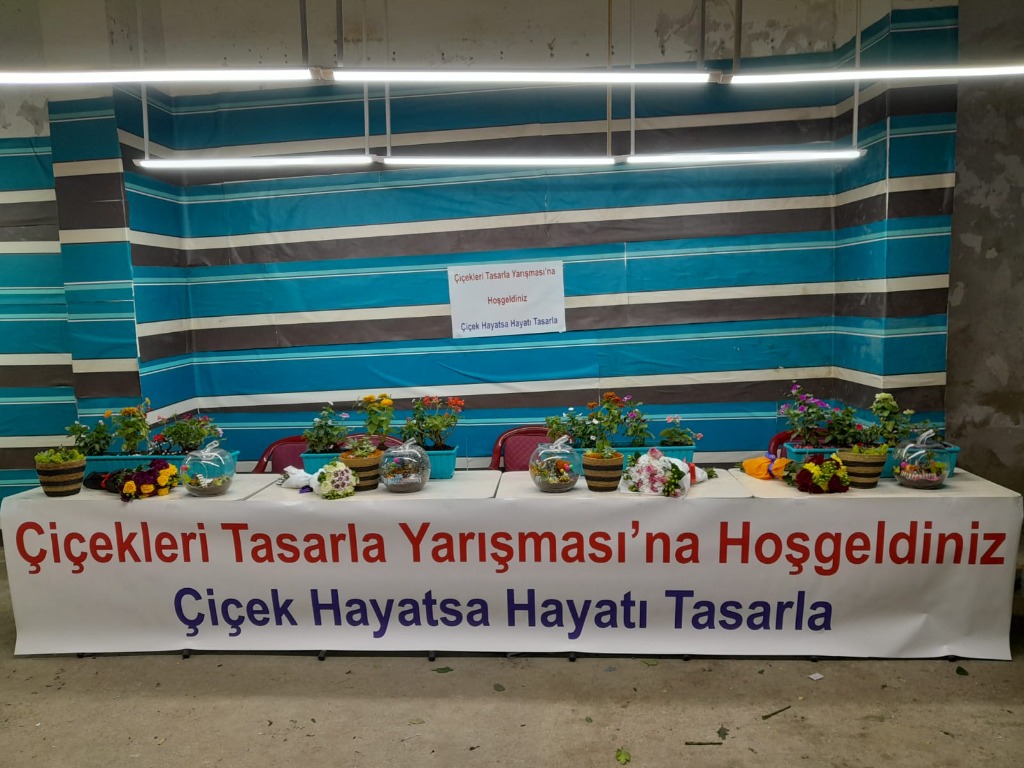 Yarışma Alanı